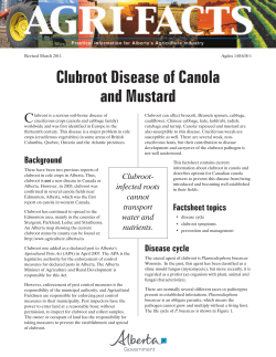 Clubroot Disease of Canola and Mustard