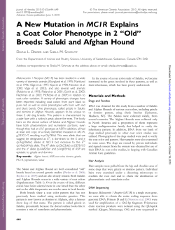 A New Mutation in MC1R Explains a Coat Color Phenotype in 2 ``Old