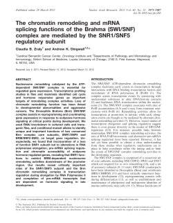 chromatin remodeling and mRNA splicing functions of the Brahma
