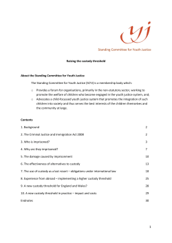 Raising the Custody Threshold Report