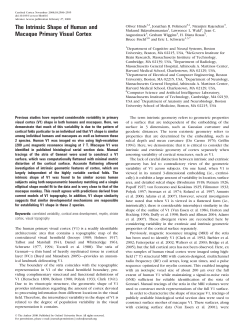 The Intrinsic Shape of Human and Macaque
