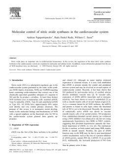 Molecular control of nitric oxide synthases in the cardiovascular