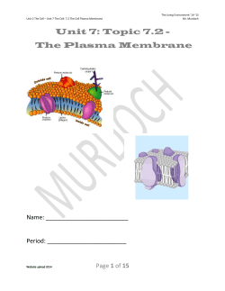 Unit 7: Topic 7.2 - The Plasma Membrane