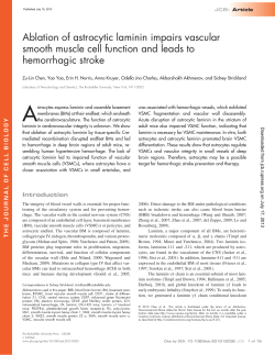 Ablation of astrocytic laminin impairs vascular smooth muscle cell