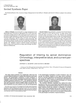 Invited Synthesis Paper Regulation of tillering by apical dominance