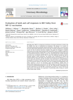 Evaluation of lamb and calf responses to Rift Valley fever MP