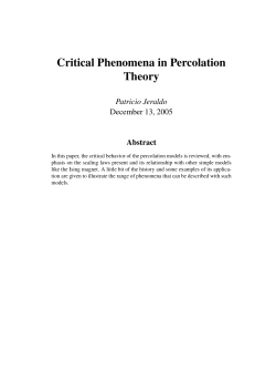 Critical Phenomena in Percolation Theory