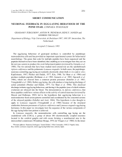 251 short communication neuronal feedback in egg