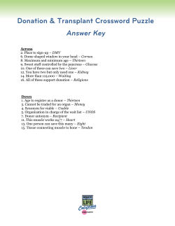 Crossword Puzzle Answer Key