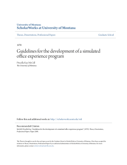 Guidelines for the development of a simulated office experience