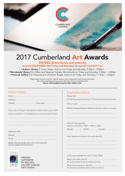 2017 Cumberland Art Awards