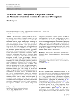 Postnatal Cranial Development in Papionin Primates: An