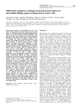 Di erential regulation of mitogen-activated protein kinases