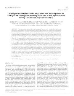 on the oogenesis and development of during the Biorack experiment
