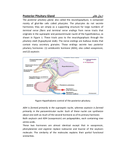 ﺩ.ﺑﺎﻥ ﺟﺎﺑﺭ Posterior Pituitary Gland