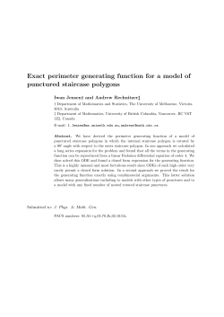 Exact perimeter generating function for a model of punctured