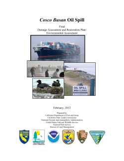 Cosco Busan Oil Spill Draft Damage Assessment and