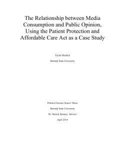 The Relationship between Media Consumption and Public Opinion