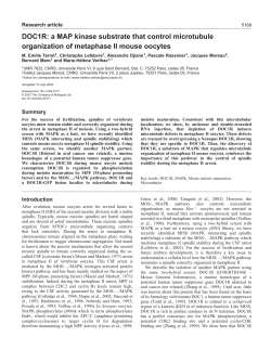 DOC1R: a MAP kinase substrate that control