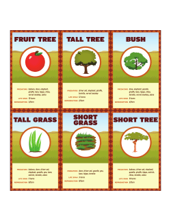 FruiT Tree Tall Tree Bush