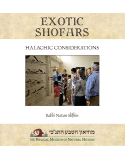 exotic shofars