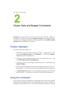 Choice Sets and Budget Constraints