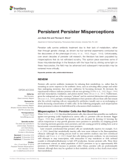 Persistent Persister Misperceptions