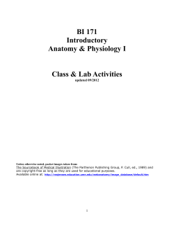 171 Activity Packet 2012 1076KB Jan 15 2015 09:20:34 AM