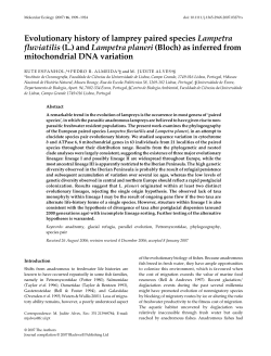 Evolutionary history of lamprey paired species Lampetra fluviatilis (L