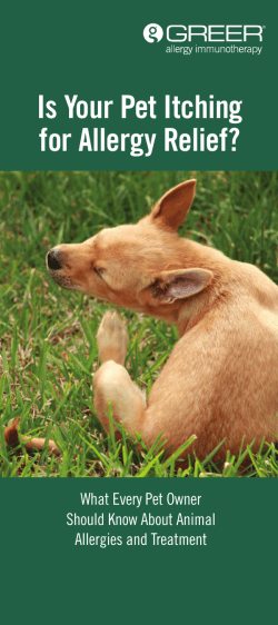 Is Your Pet Itching for Allergy Relief?