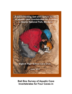 Bait Box Survey of Aquatic Cave Invertebrates for Four Caves in