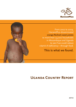 Disseminating Orange-Fleshed Sweet Potato: Uganda Country Report