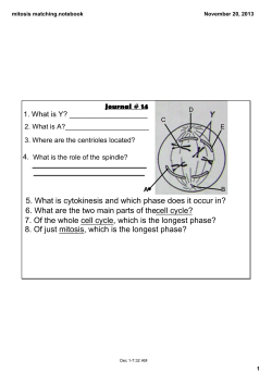 mitosis matching.notebook