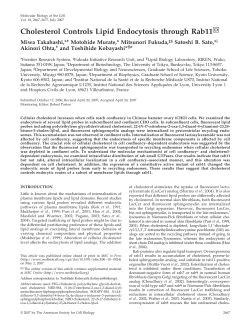 Cholesterol Controls Lipid Endocytosis through Rab11