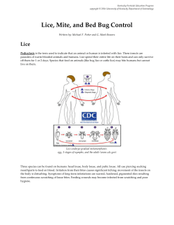Lice, Mite, and Bed Bug Control