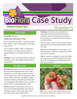 Case Study - Strawberry