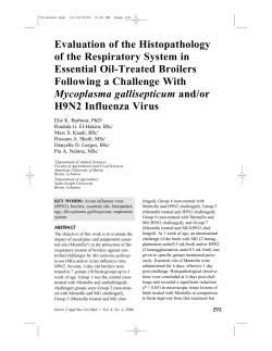 Evaluation of the Histopathology of the Respiratory System in