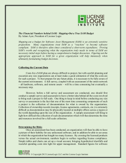 Financials Behind SAM - License Logic Institute