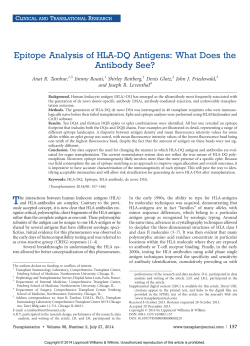 Epitope Analysis of HLA-DQ Antigens: What Does the Antibody See?