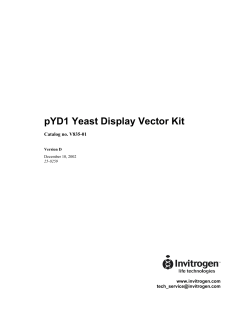 pYD1 Yeast Display Vector Kit
