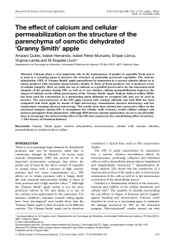 The effect of calcium and cellular permeabilization on the