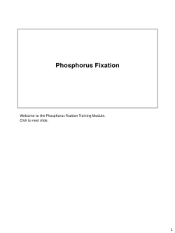 Phosphorus Fixation
