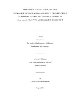 pdf version of this thesis - Sam Houston State University