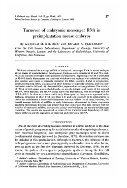 Turnover of embryonic messenger RNA in