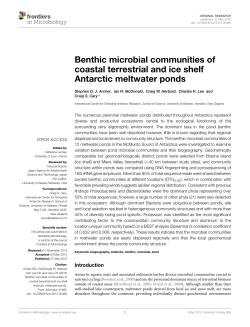 Benthic microbial communities of coastal terrestrial and ice shelf