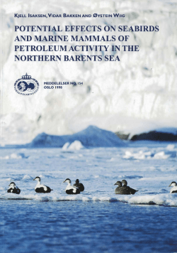 potential effects on seabirds and marine mammals of