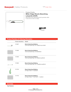 Miller Edge Shock-Absorbing Lanyards (EUR)