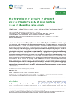The degradation of proteins in pinniped skeletal