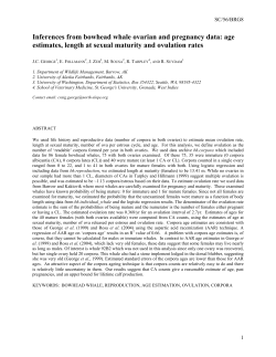Inferences from bowhead whale ovarian and pregnancy