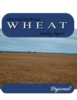 2008 Wheat Quality Survey
